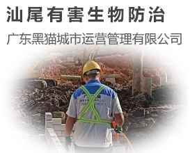 汕尾滅鼠_廣東黑貓城市運營管理有限公司 